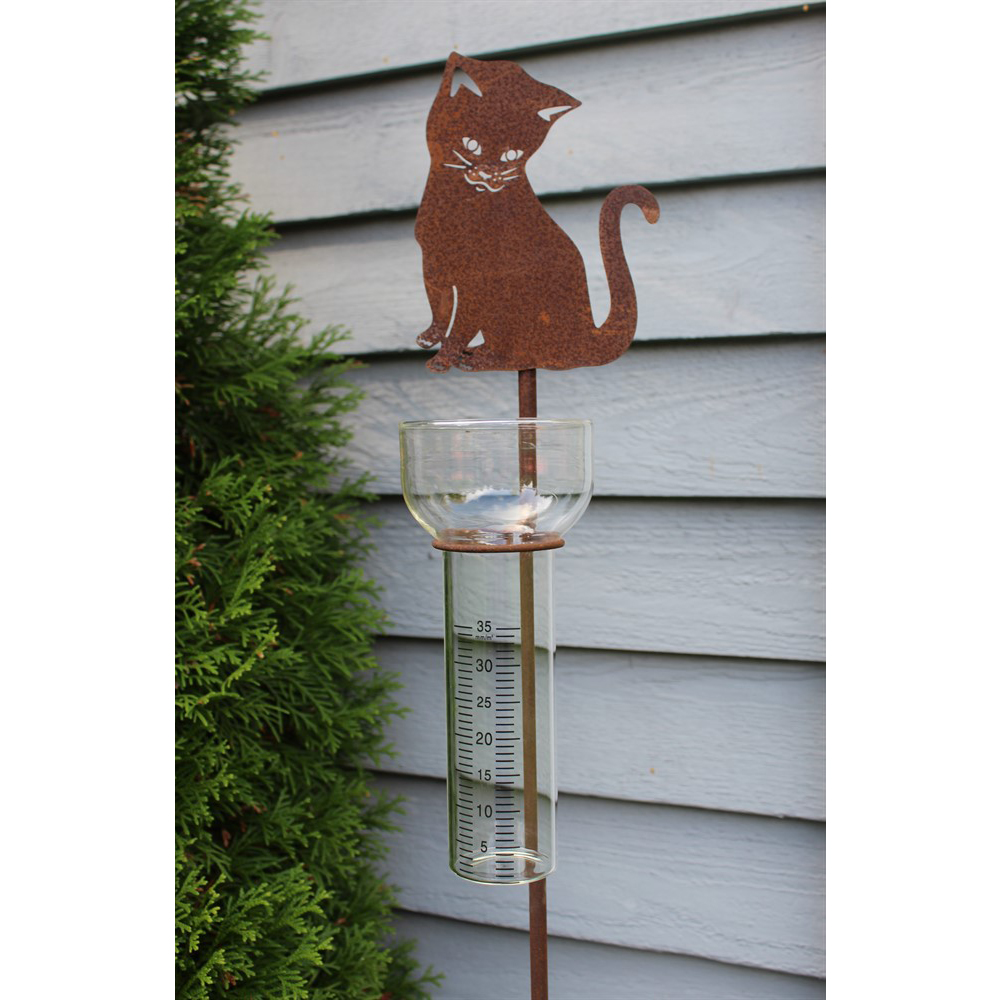 regnmätare katt, Tussie